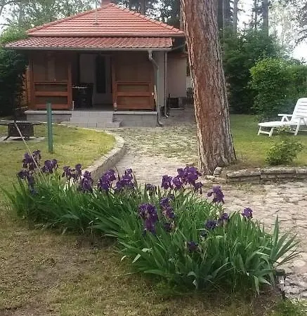 Apartment Reni Siofok